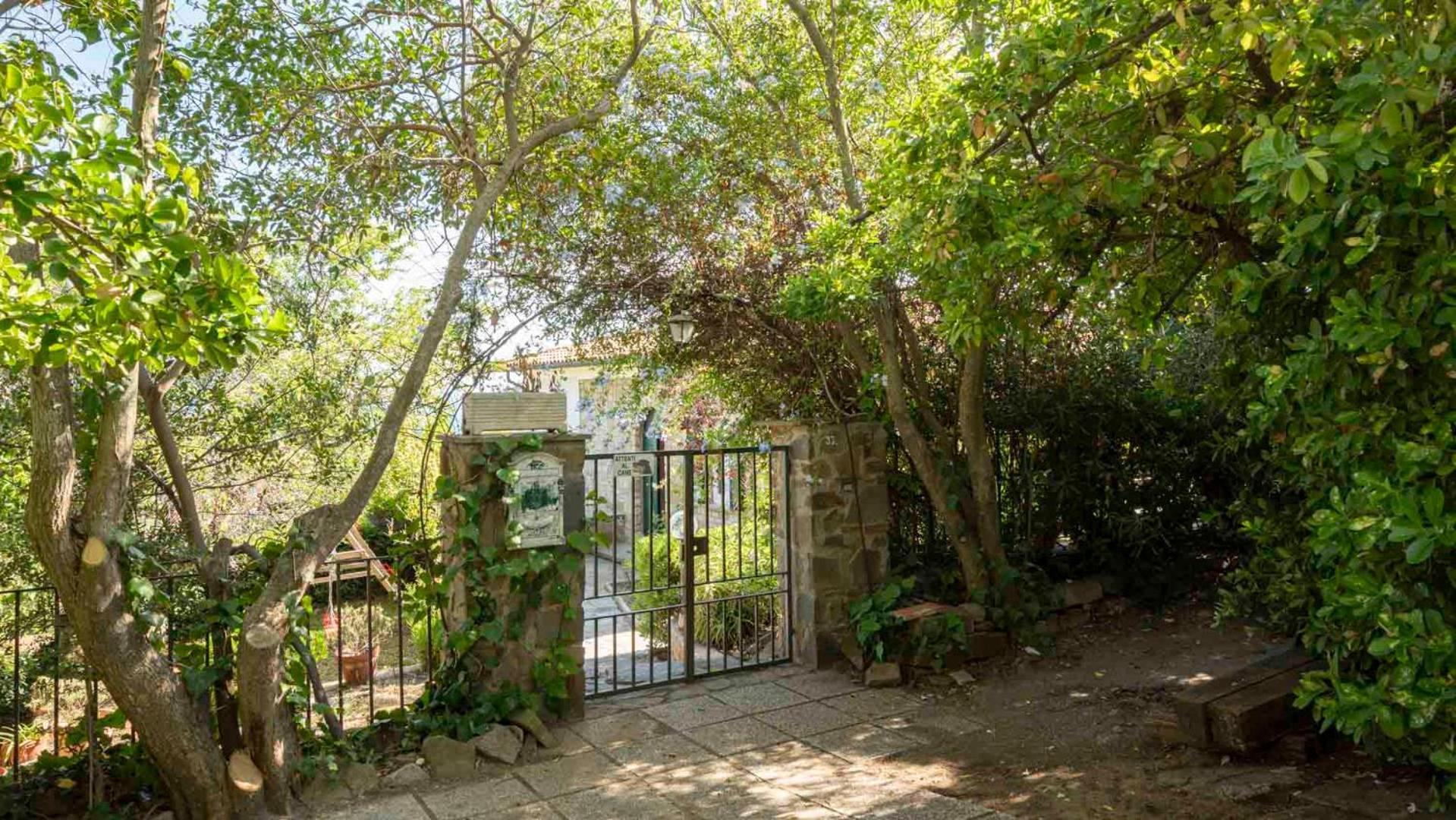 Villa Con Giardino Vista Mare Castiglione della Pescaia Exteriör bild